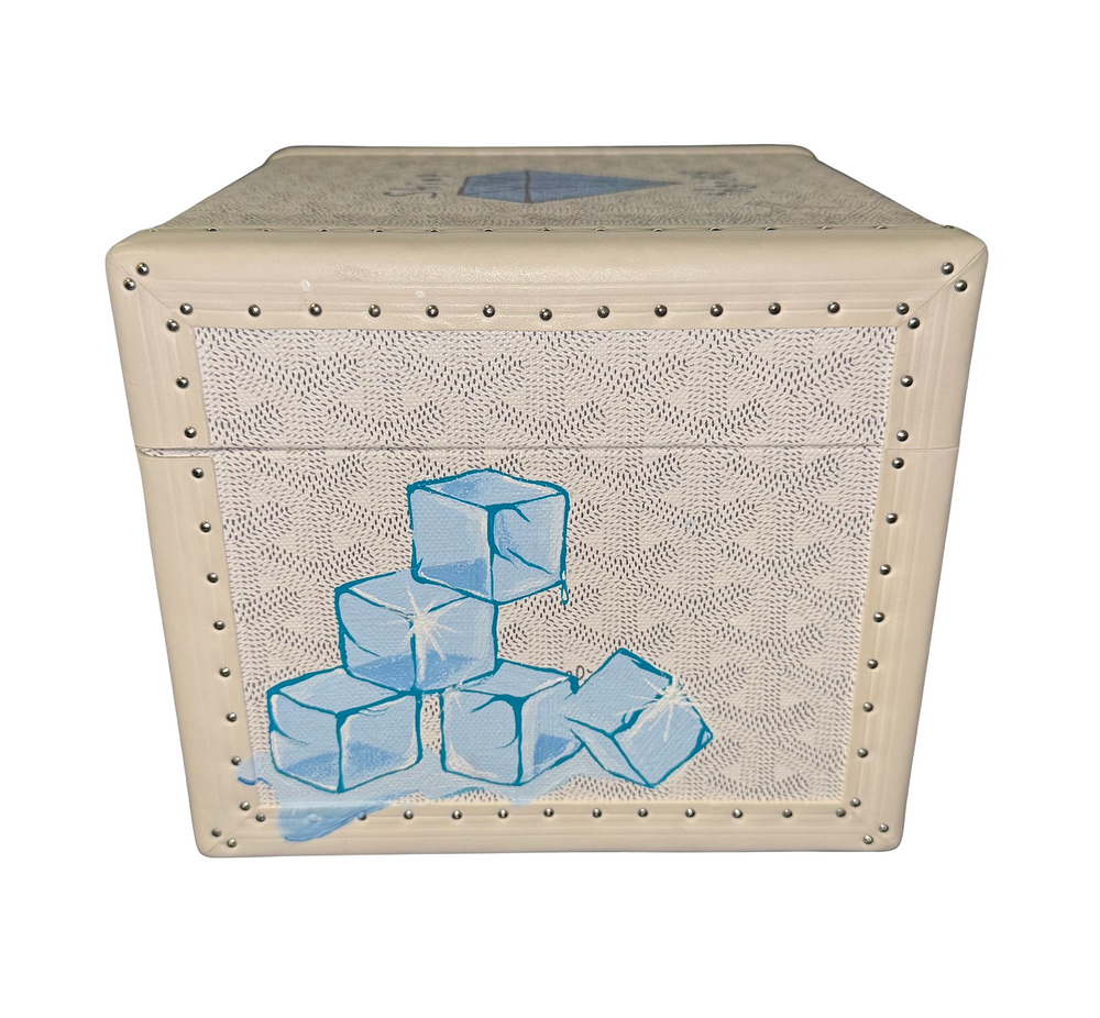 Goyard Custom Painted 'White' Paris Case