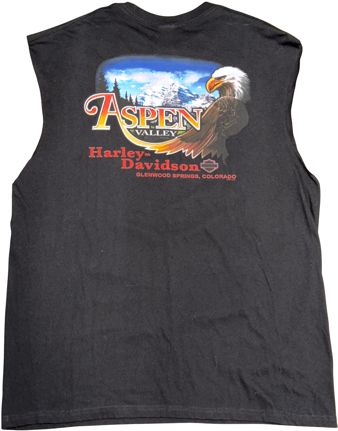 Harley Davidson 'Aspen Valley' Cutoff Vintage Tee