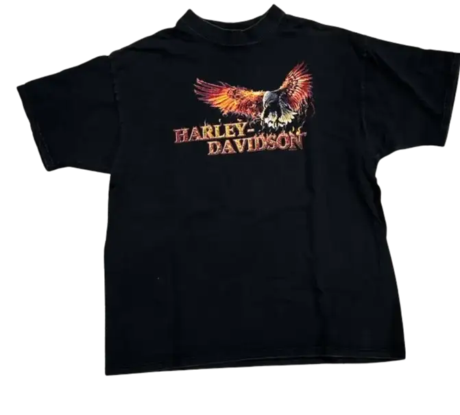 Harley Davidson 'Beartooth' Vintage Tee