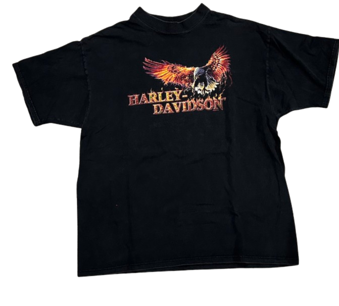 Harley Davidson 'Beartooth' Vintage Tee