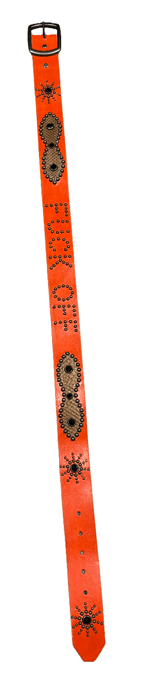Studded 'Fuck Off Brown Snakeskin' Orange Belt
