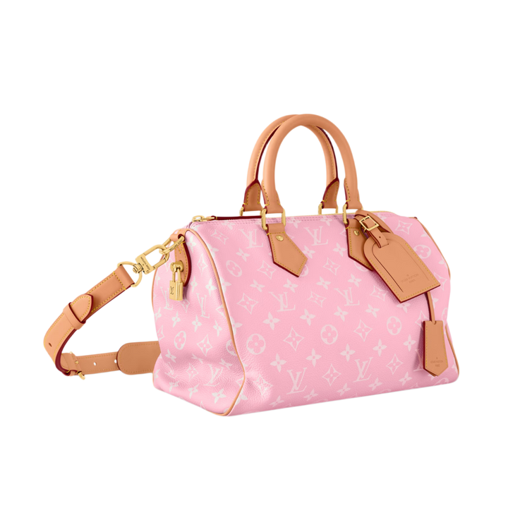 Louis Vuitton &