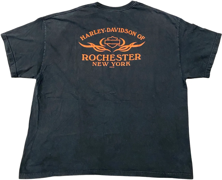 Harley Davidson &