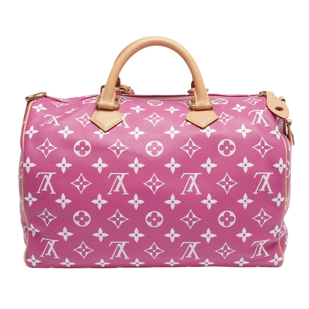 Louis Vuitton &