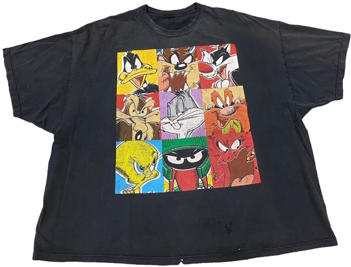 Looney Tunes 'Characters' Vintage Tee