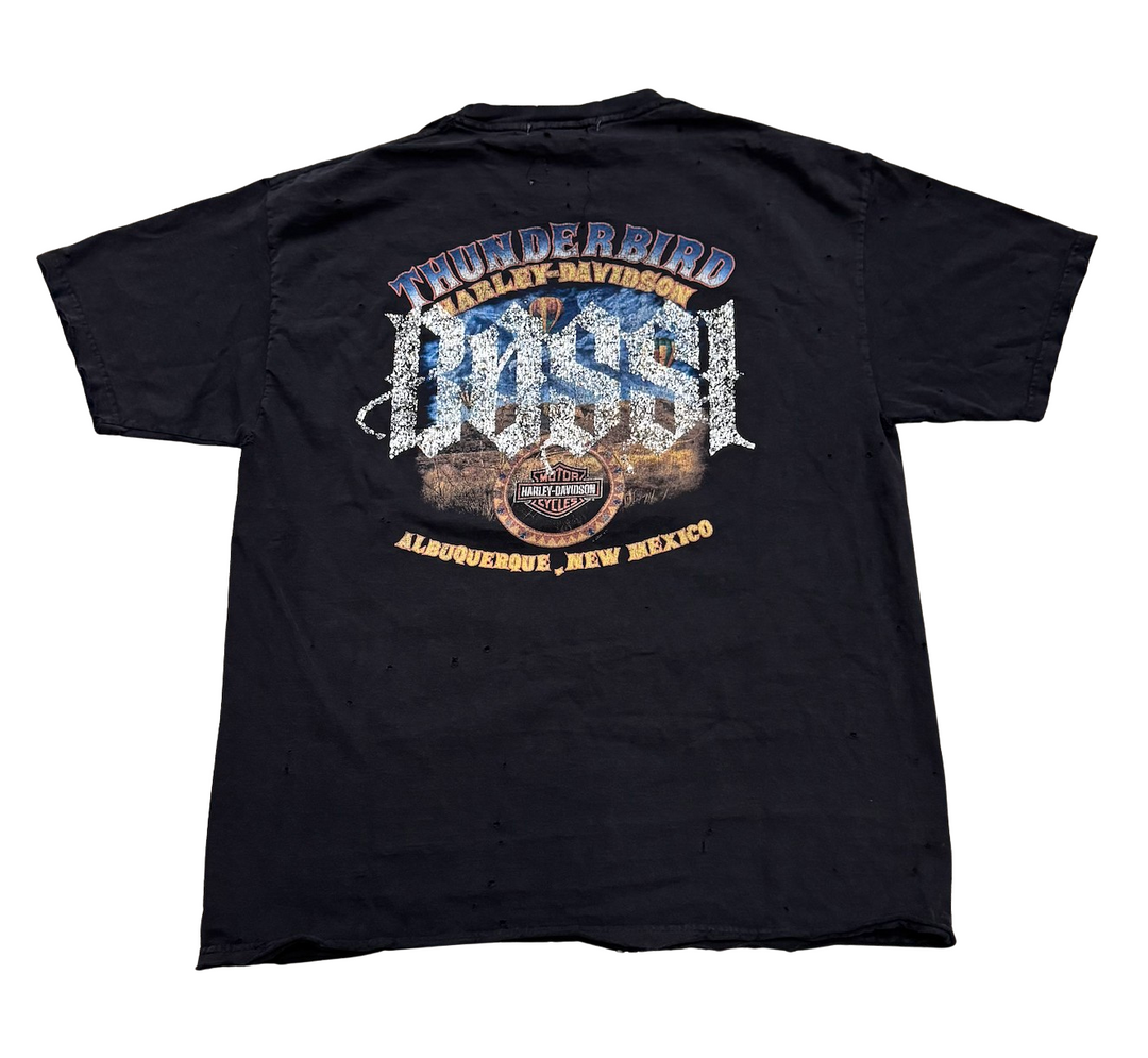 Bossi 'Thunderbird' Harley Davidson Vintage Rhinestone Tee