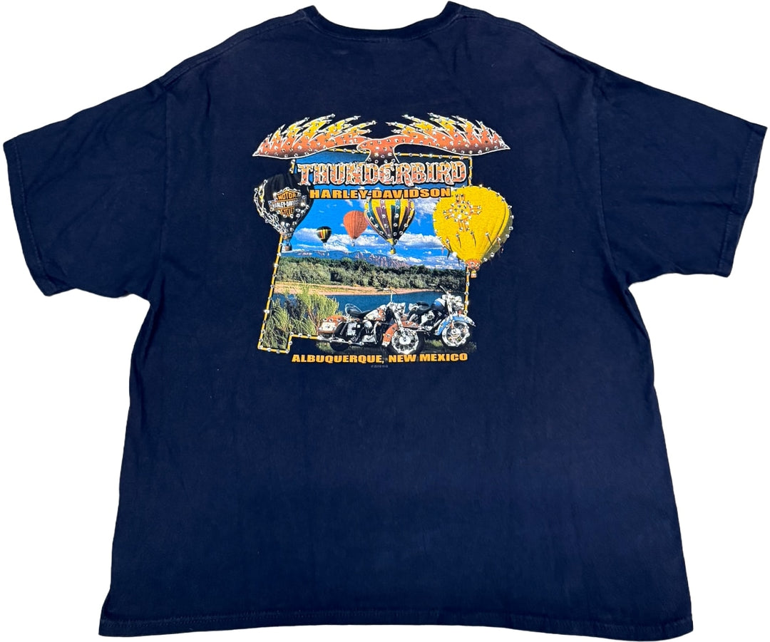 Harley Davidson 'Thunder' Rhinestone Vintage Tee