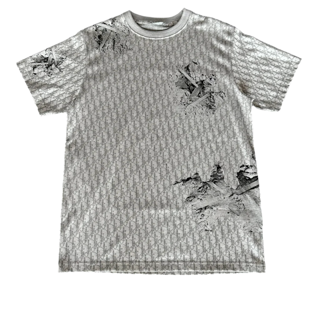 Dior x Daniel Arsham &