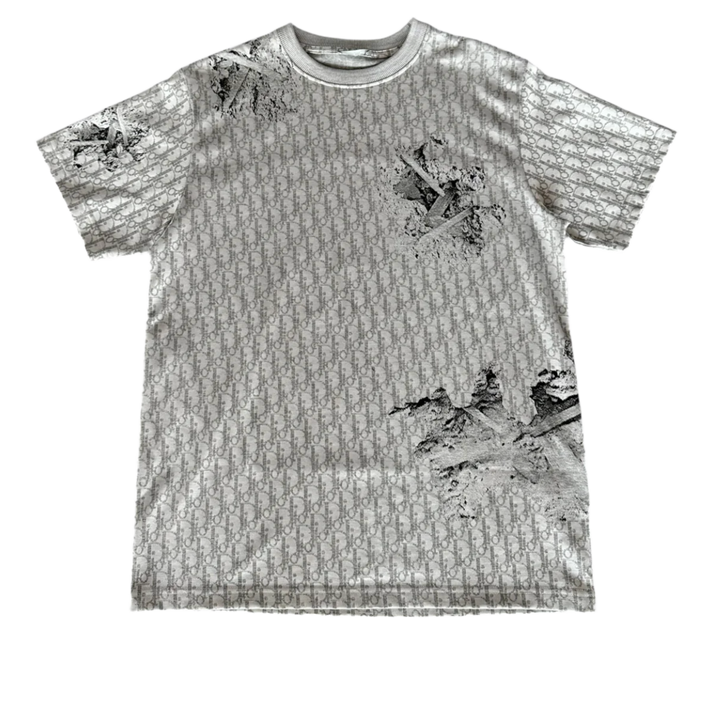 Dior x Daniel Arsham &