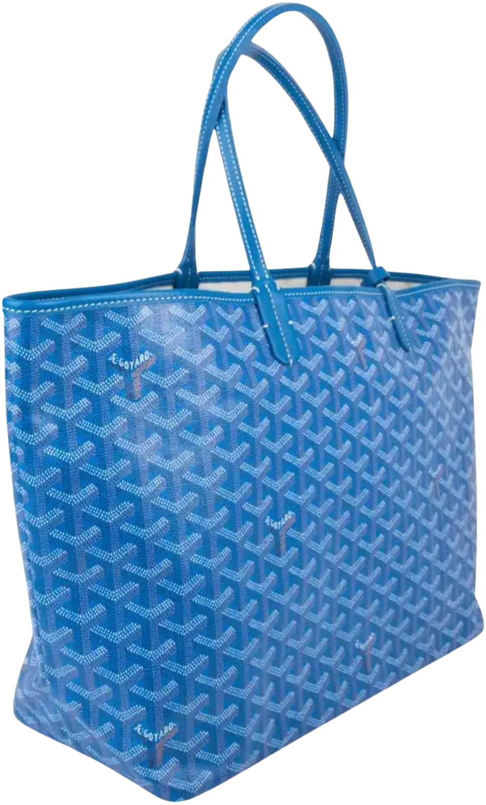 Goyard 'Sky Blue' PM Saint Louis Tote Bag