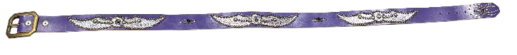 Studded &