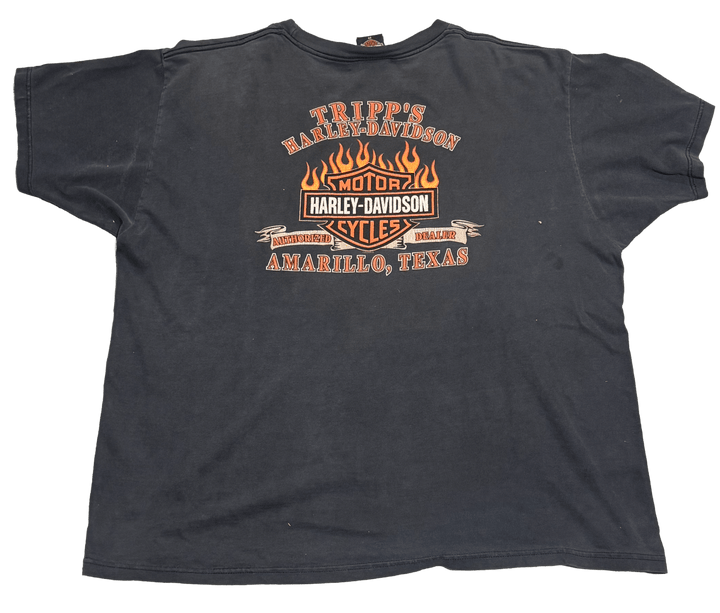 Harley Davidson &