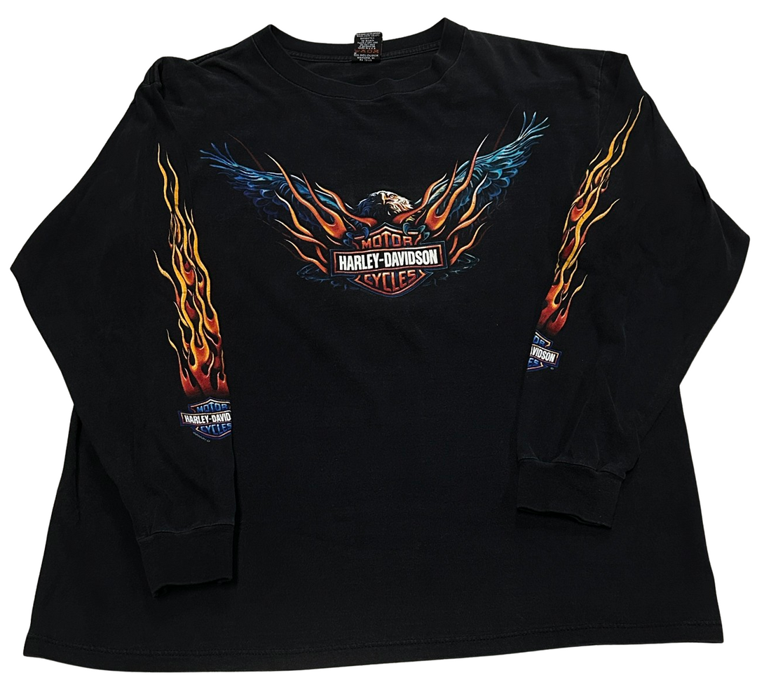 Harley Davidson 'Alexandria, VA' Flame Vintage Black Longsleeve