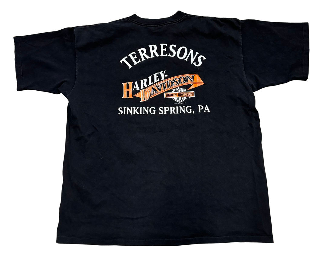 Harley Davidson 'Take Hold Of The Thunder' Vintage Black Tee