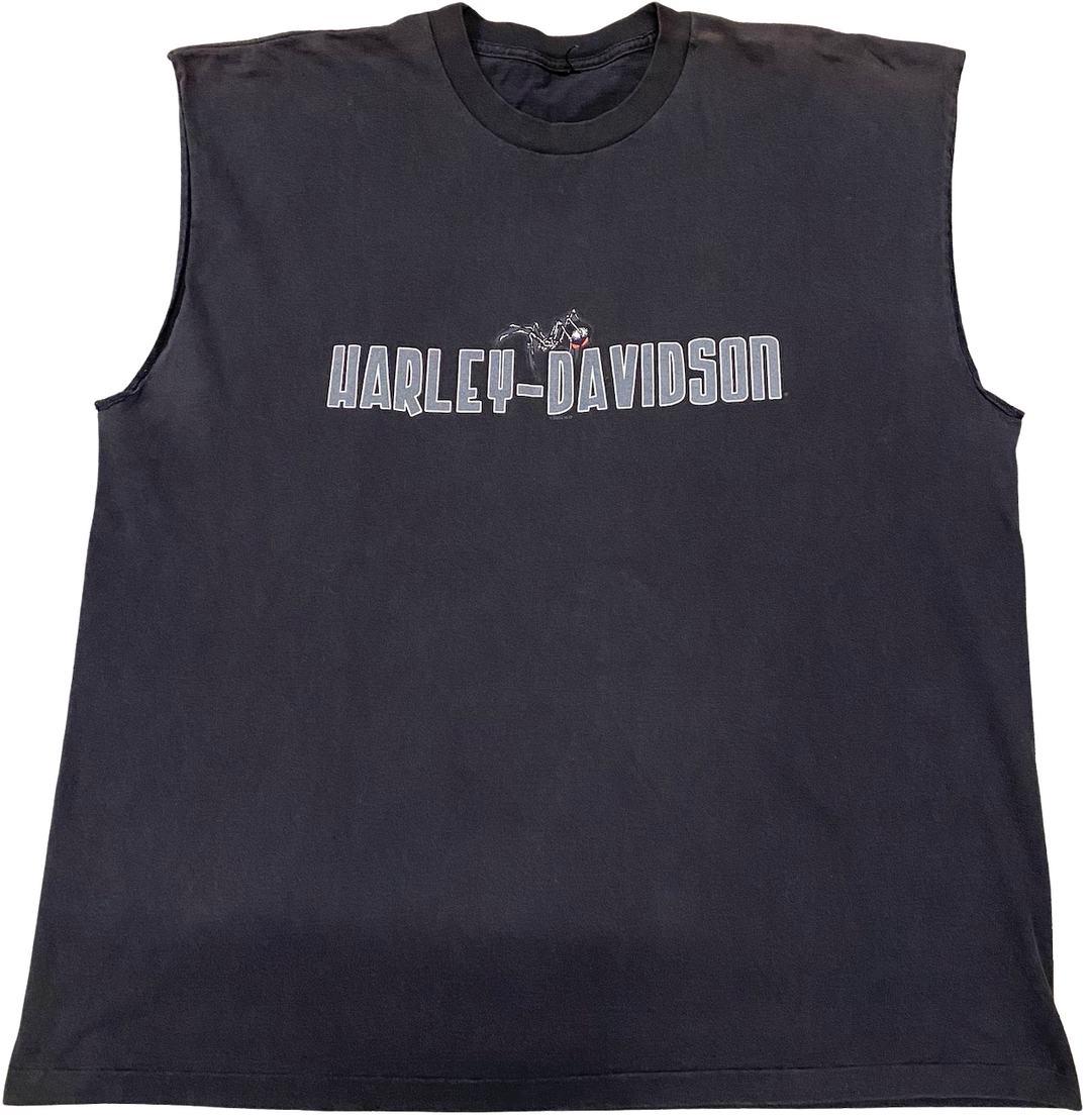 Harley Davidson 'Wausau, WI' Cutoff Vintage