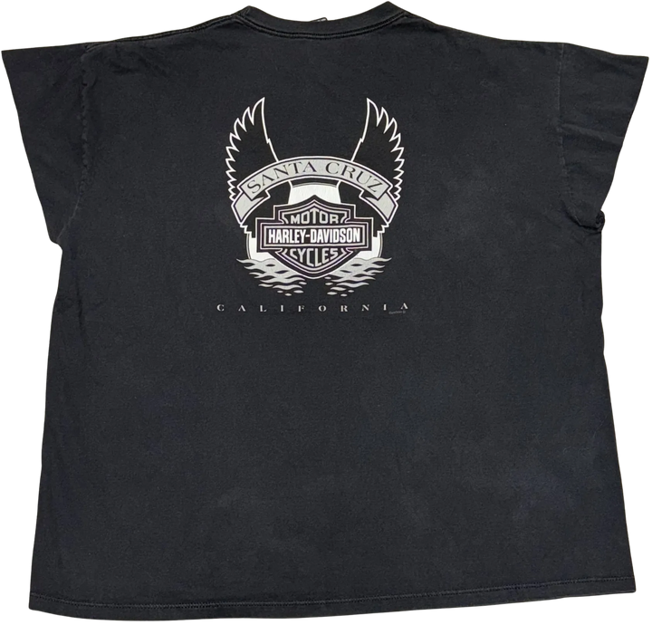 Harley Davidson &