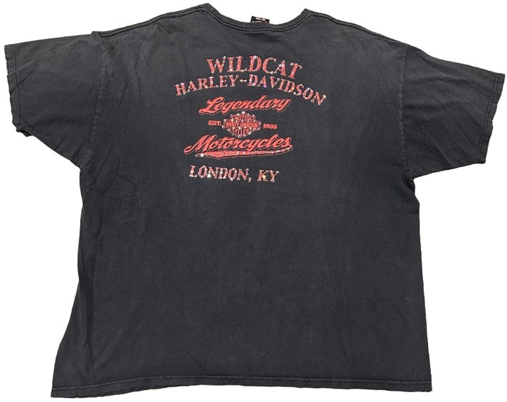 Harley Davidson &