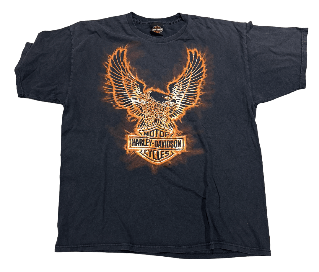 Harley Davidson Flame Eagle &