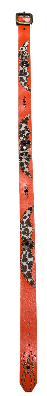 Studded &