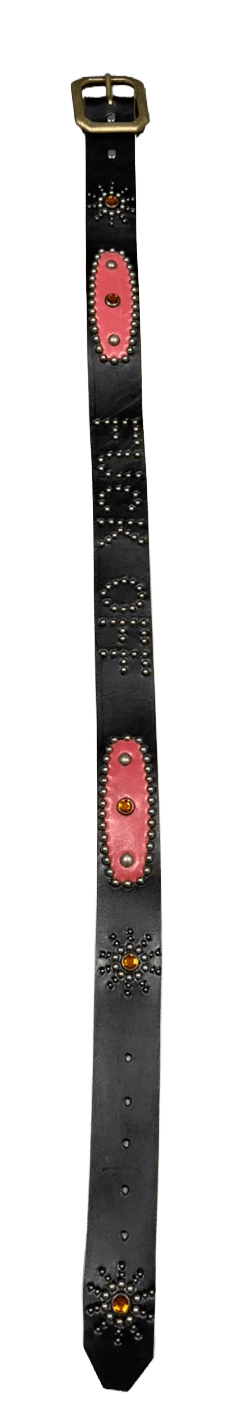 Studded 'Fuck Off Red Leather' Sun Gem