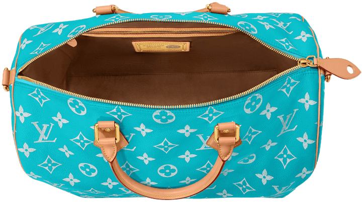 Louis Vuitton &