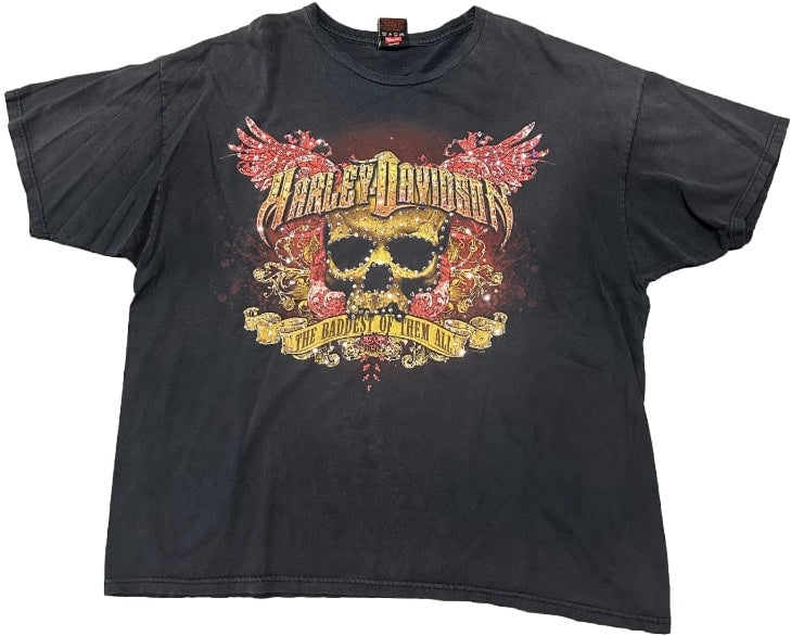 Harley Davidson 'Wildcat' Rhinestone Vintage Tee
