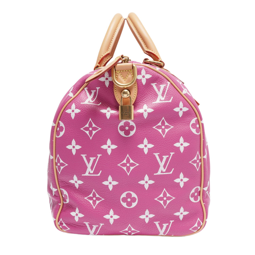 Louis Vuitton &