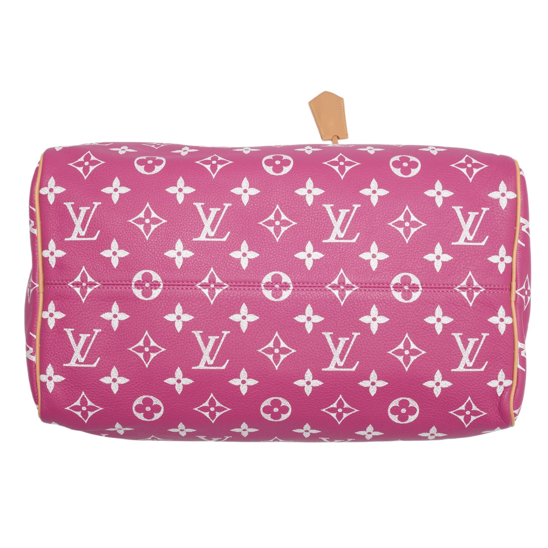 Louis Vuitton &