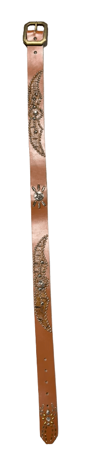 Studded 'Brown Scale Silver Star Spider Gem' Brown Belt