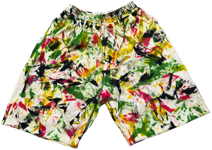 Celine 'Multicolor' Sweatshorts
