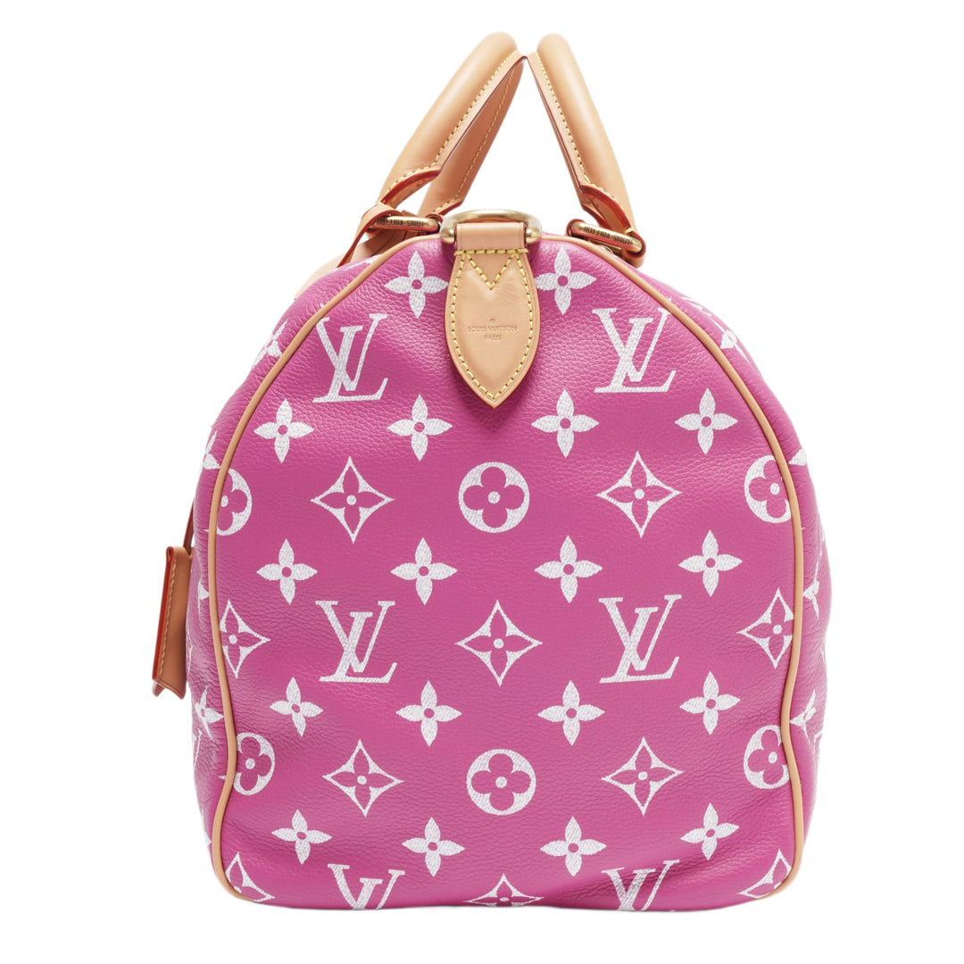 Louis Vuitton &