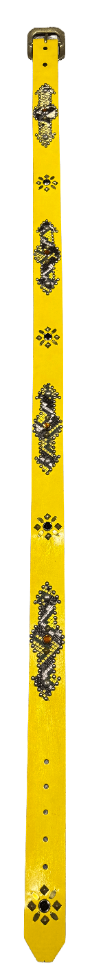 Studded &