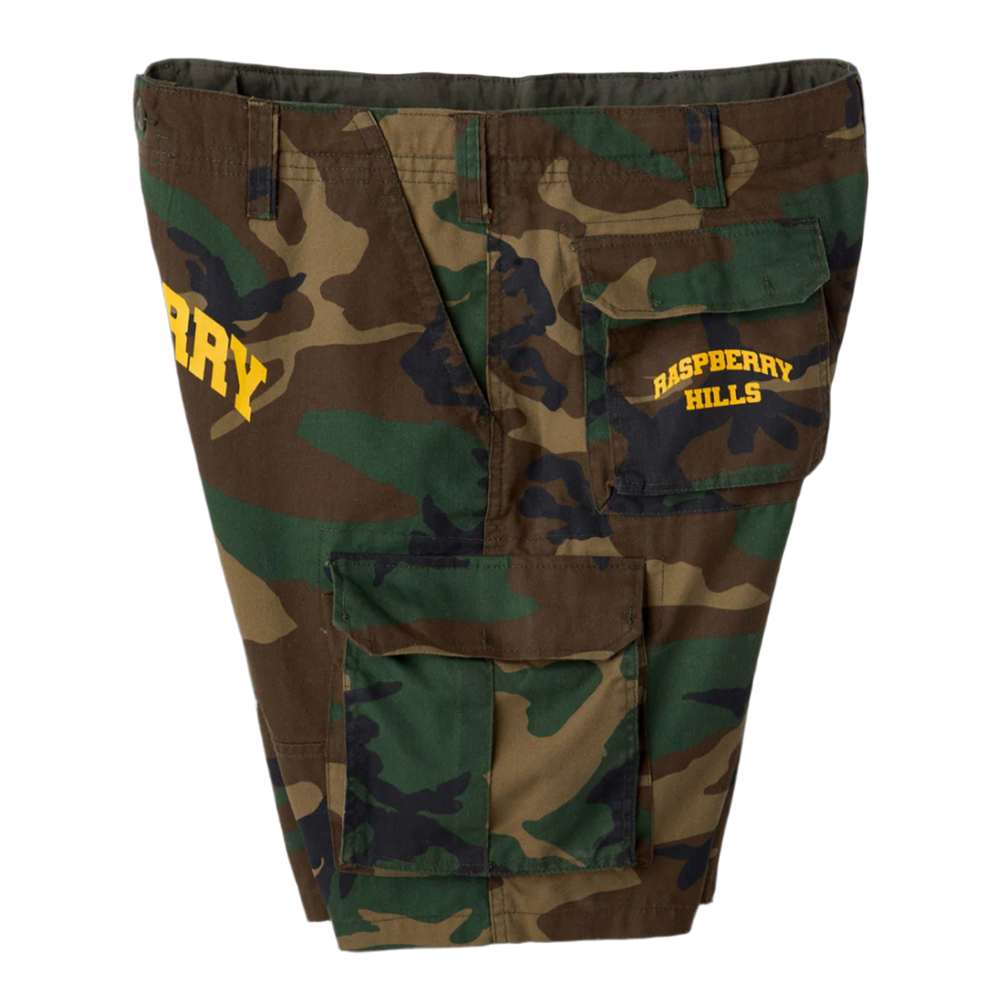 Gold+Vintage Gallery Raspberry Hills 'Camo Logo' Cargo Shorts