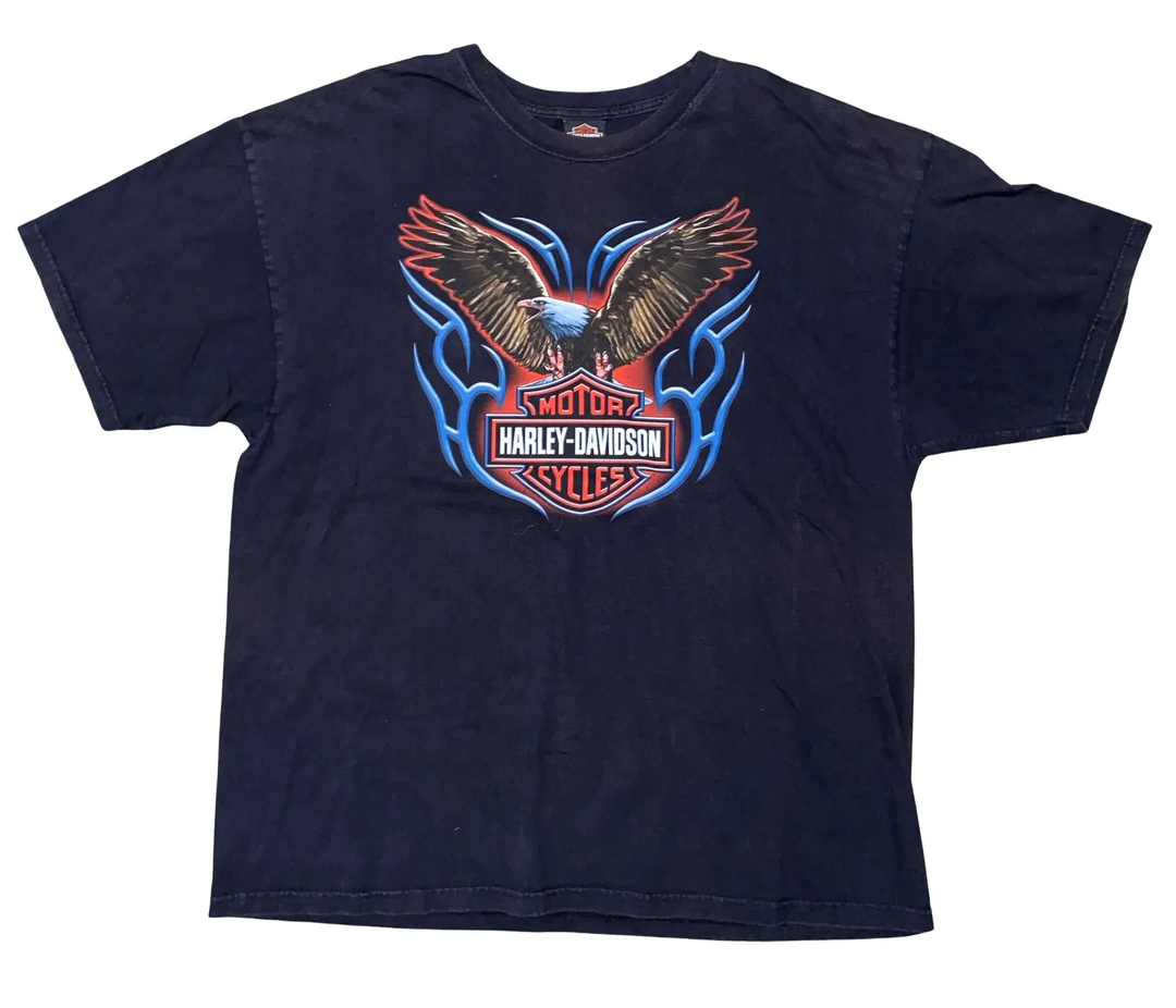Harley Davidson 'Fairbanks, AK' Vintage Tee