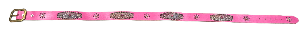 Studded&