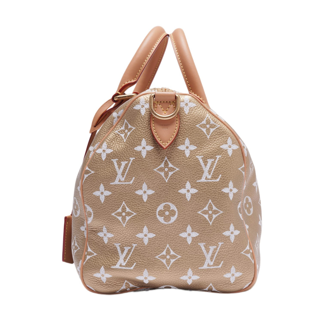 Louis Vuitton &