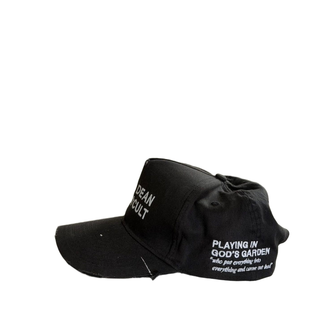 Paly Hollywood &