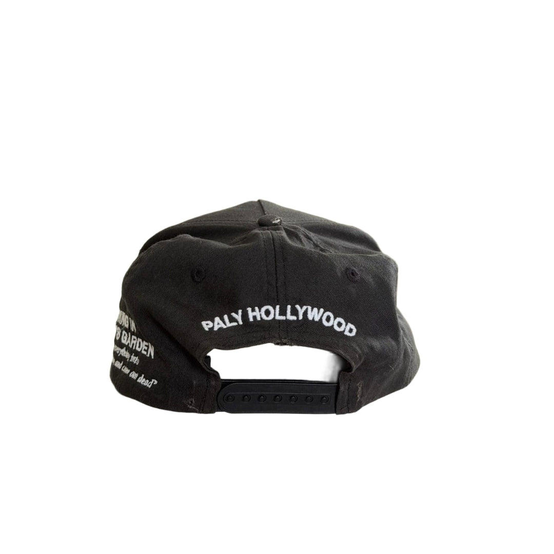 Paly Hollywood &