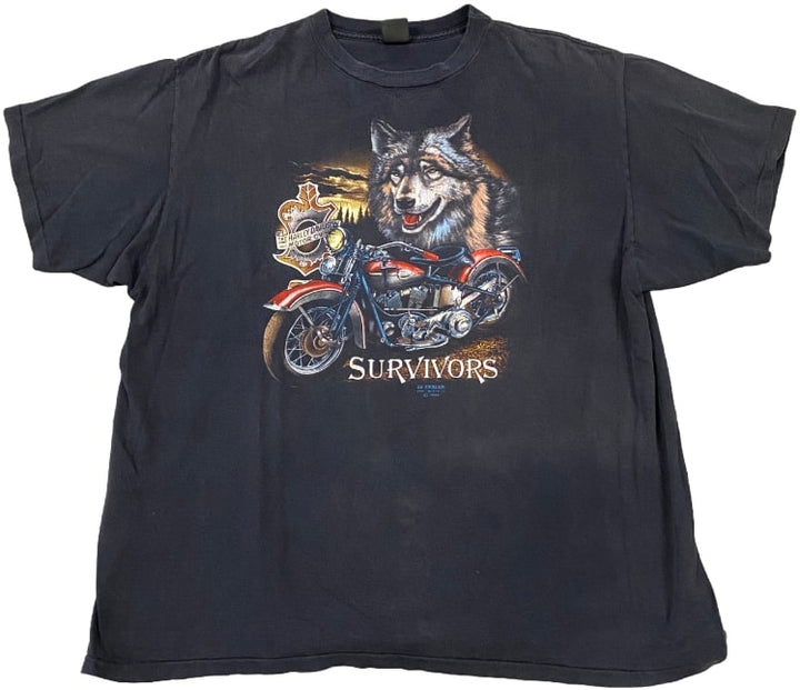 Harley Davidson 'Chick's' Vintage Tee