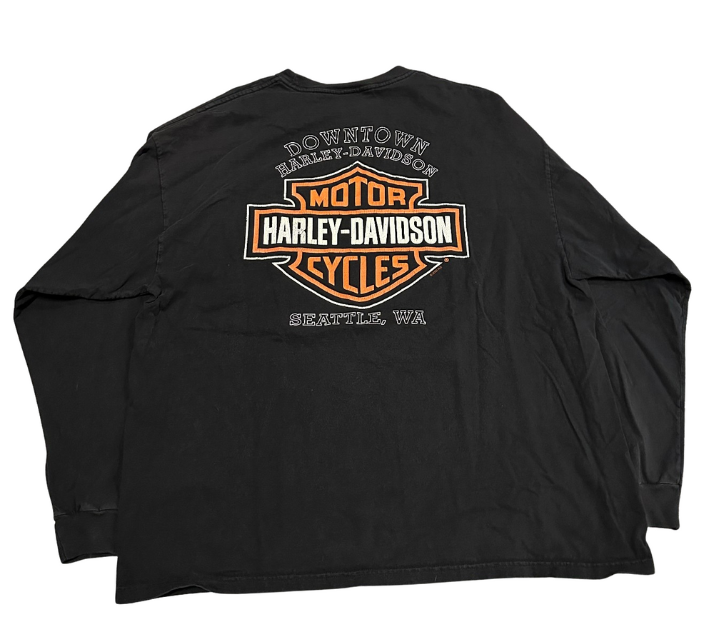 Harley Davidson Flame Script Vintage Longsleeve