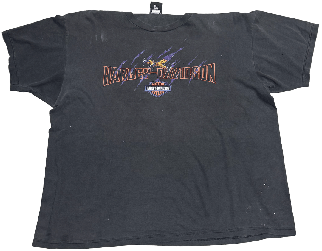 Harley Davidson &