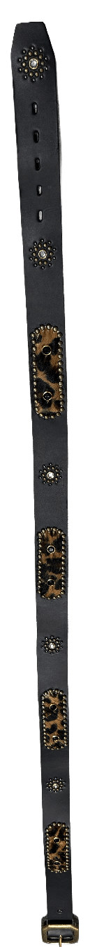 Studded &