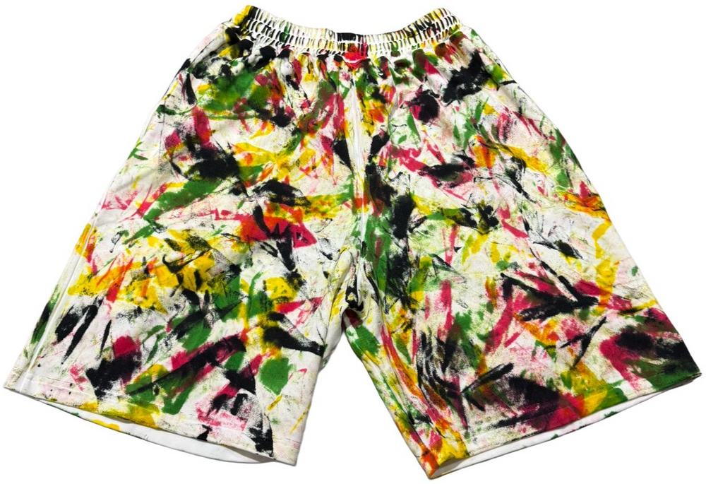 Celine 'Multicolor' Sweatshorts