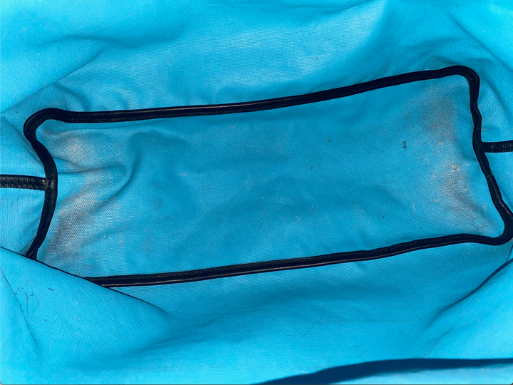 Goyard 'Black/Turquoise' Saint Louis PM Tote Bag